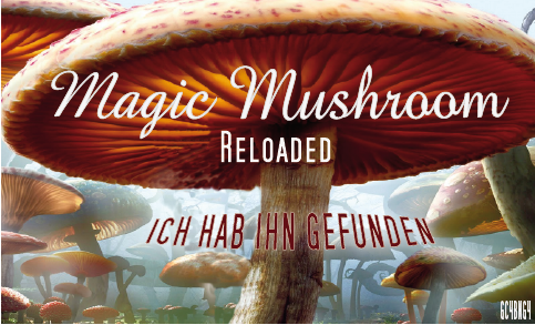 Magic Mushroom reloaded